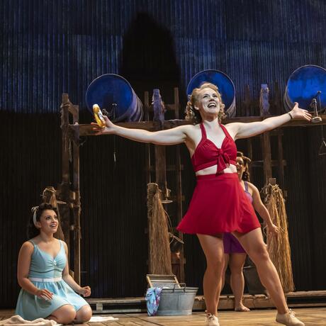 Rodgers & Hammerstein's South Pacific